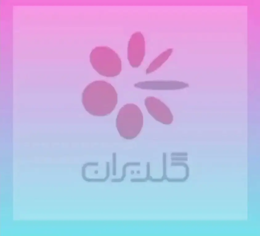 معرفی نمایندگان برتر گلدیران سال 2024